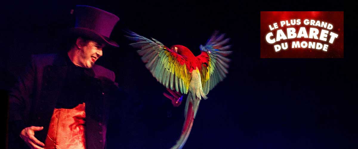 magicien perroquet le plus grand cabaret
