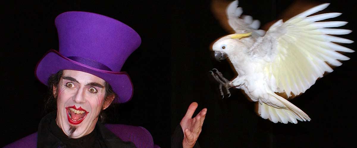 spectacle magicien et perroquet