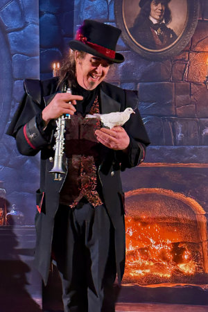 magicien colombe noel